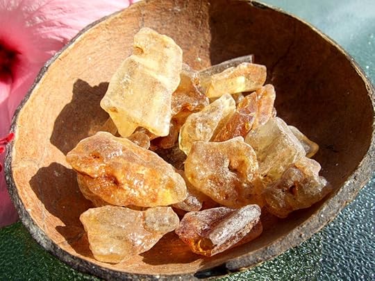 amber copal