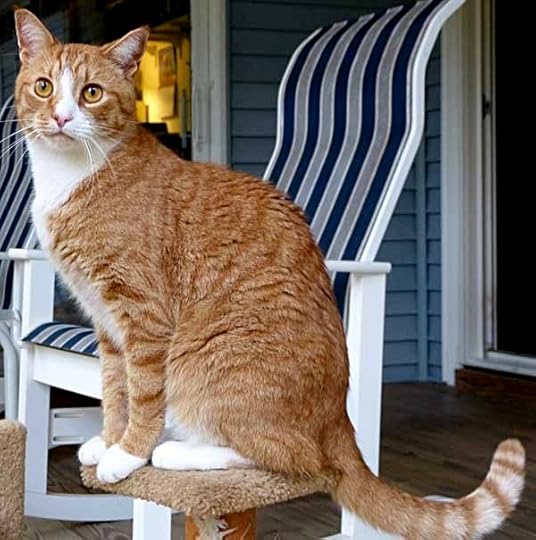 TiggerAge4