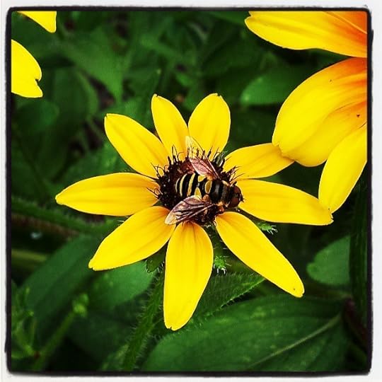 bee