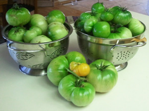 sort of frozen green tomatoes
