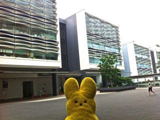  photo IMG_1684_zps743a28ac.jpg