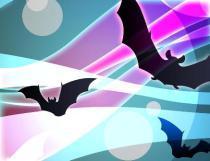 bats