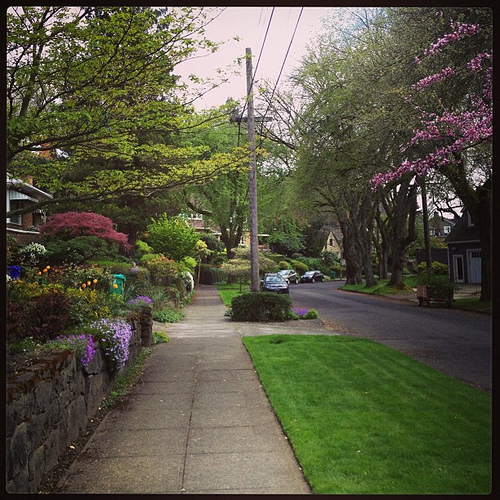 View from my walk this afternoon. #peace #inthemoment