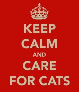 'Keep Calm and Care for Cats' poster