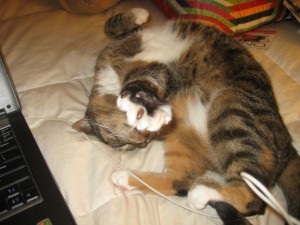 Please, no photos, no photos....