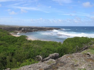 Beach Vacation in Curacao
