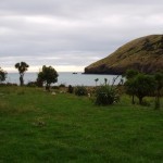South island New Zealand