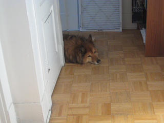 Saturday afternoons...