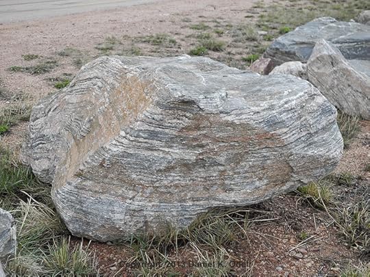 Gneiss, courtesy of Daniel K.. Odell