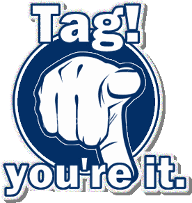 tag your it The Next Big Thing The Magic Shop