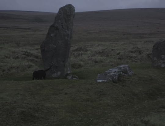 Tilly and the standing stone at dusk