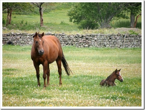 17 July 1 17-07-2013 12-45-28