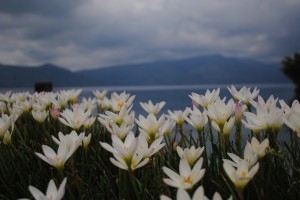 Lake Toba