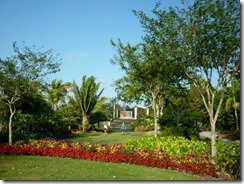 Naples Garden1 (800x600)
