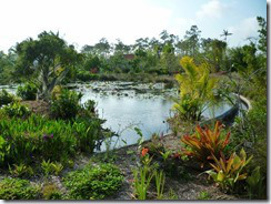 Naples Garden3 (800x600)