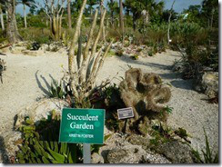 Naples Garden5 (800x600)