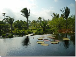Naples Garden10 (800x600)