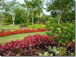 Naples Garden14 (800x600)