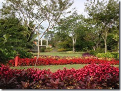 Naples Garden15 (640x480)