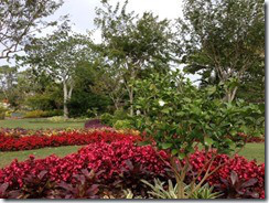 Naples Garden16 (640x480)