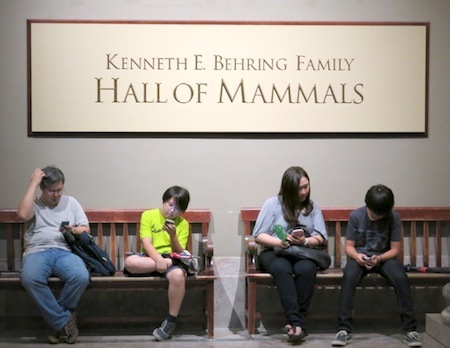 hall-of-mammals-web