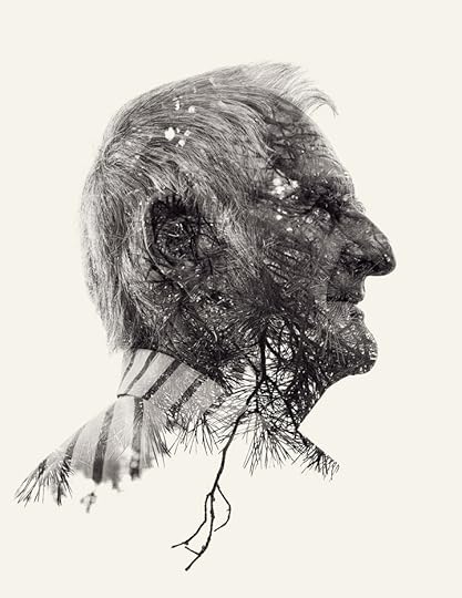 Christopffer Relander 1