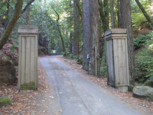 Photo taken by E.S. Magill