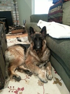 He has a scar on his nose. Chicks dig scars.