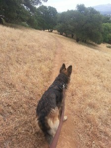 Jake knows exactly what he's looking for.