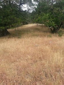 It was just there at the peak.