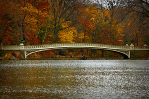 Bow_Bridge_in_Central_Park_on_Thanksgiving_2010