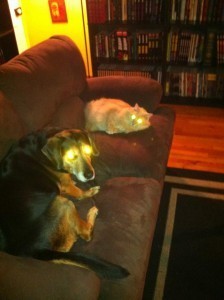 Sam and Max prepare to use their powers.