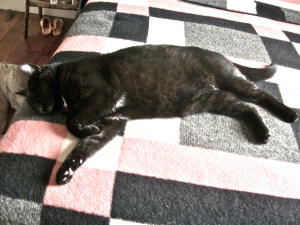 PENTAX Digital Camera