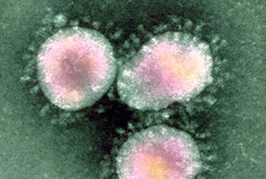 More On The New Coronavirus: Cases in France, The WHO In Saudi Arabia