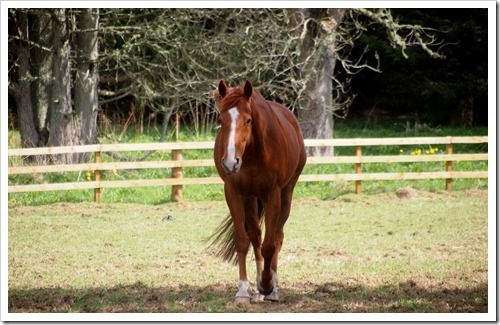 9 May 3 09-05-2013 11-00-48 4020x2552