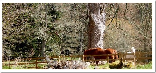 9 May 5 09-05-2013 11-00-12 4032x1789