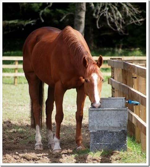 9 May 7 09-05-2013 11-01-02 2951x3289