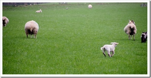 9 May 10 08-05-2013 11-37-56 4032x2002