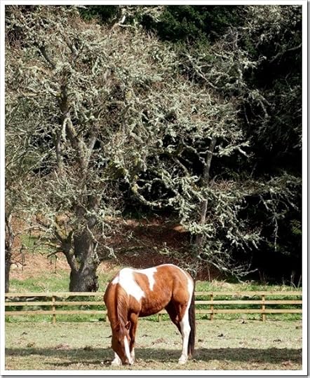 9 May 11 09-05-2013 11-02-32 3008x3706