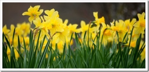 9 May 12 08-05-2013 11-38-54 3971x1836