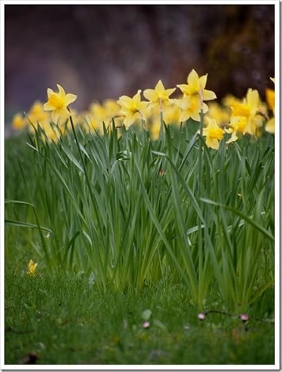 9 May 13 08-05-2013 11-39-26 3024x4032