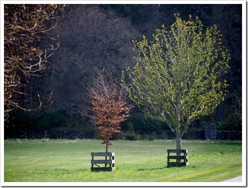 9 May 14 07-05-2013 09-53-57 4032x3024