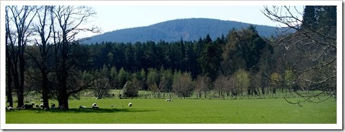 9 May 15 07-05-2013 09-54-14 4020x1438