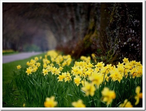 8 May 9 08-05-2013 11-38-16 4032x3024