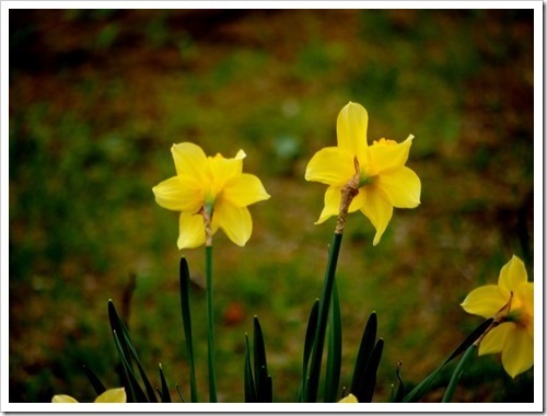 8 May 11 08-05-2013 11-38-42 4032x3024