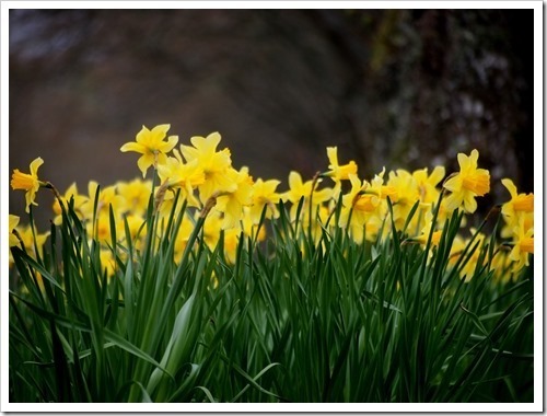 8 May 12 08-05-2013 11-38-56 4032x3024