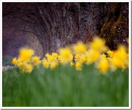 8 May 13 08-05-2013 11-39-25 3016x2498