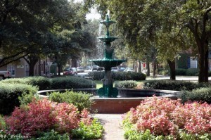 Savannah squares