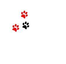 paw prints 1