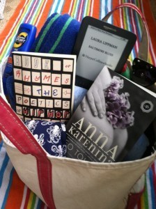 Krista's Pool Bag